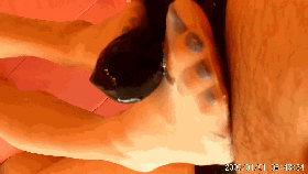 104905zc22ttnoicb07tb7.gif